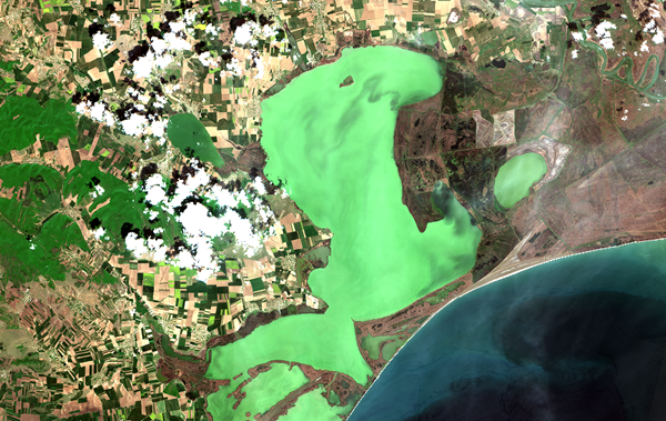 Sentinel 2 satellite image of the Razelm lagoon